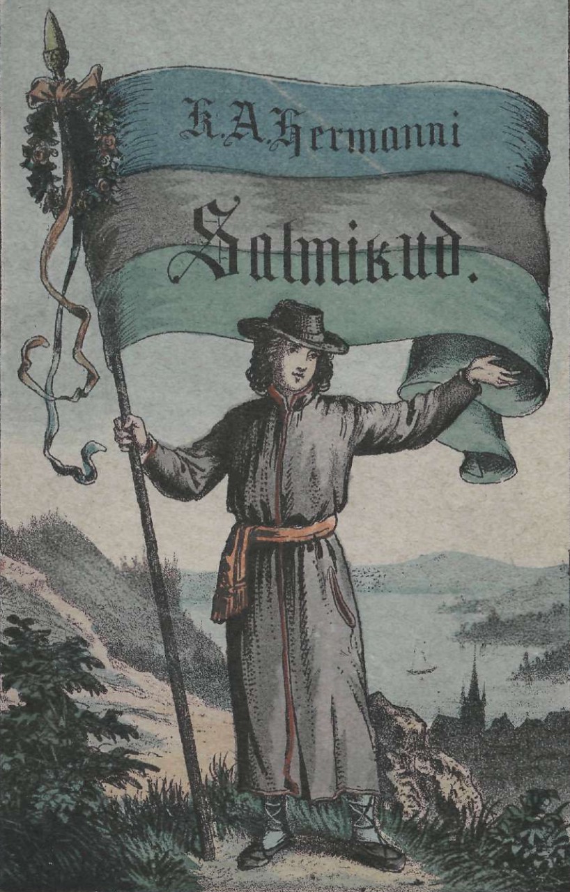 Salmikud cover